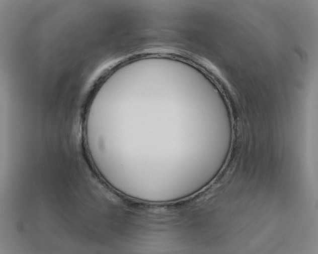 X0000113991408200910021000