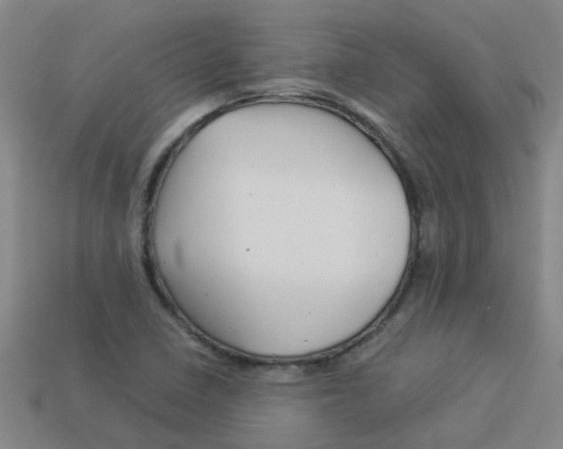 X0000113991410200910021000