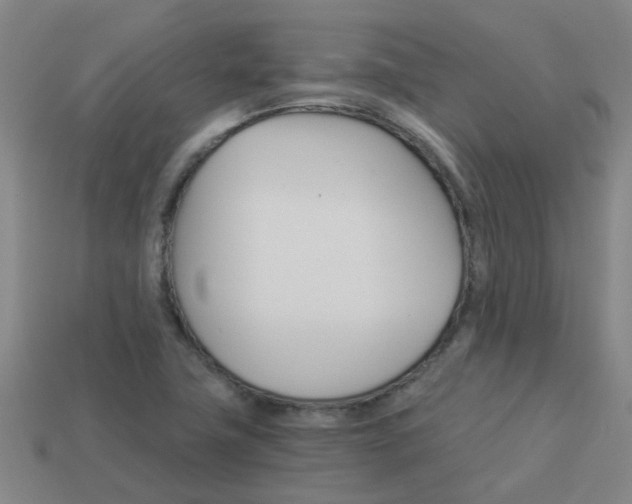 X0000113991411200910021000
