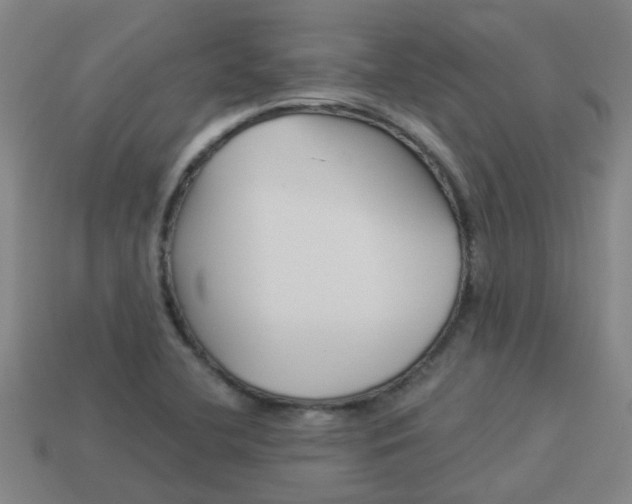 X0000113991412200910021000