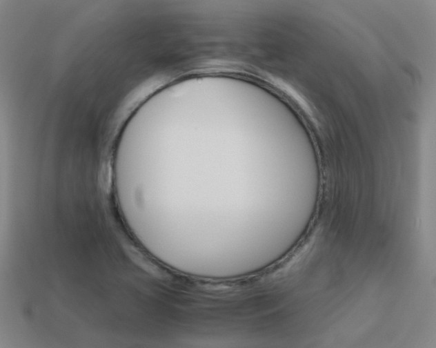 X0000113991413200910021000