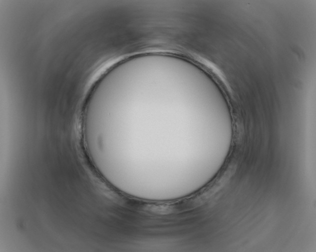 X0000113991415200910021000