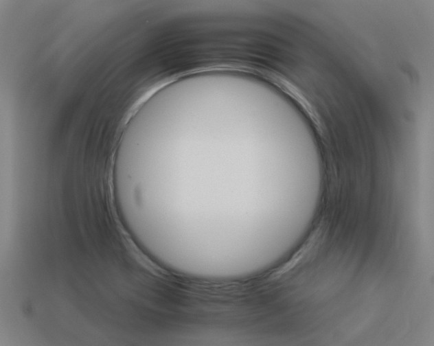 X0000113991417200910021000