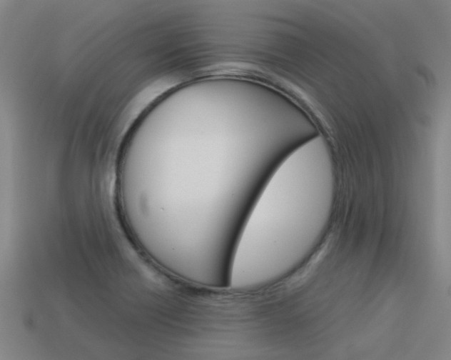 X0000113991418200910021001