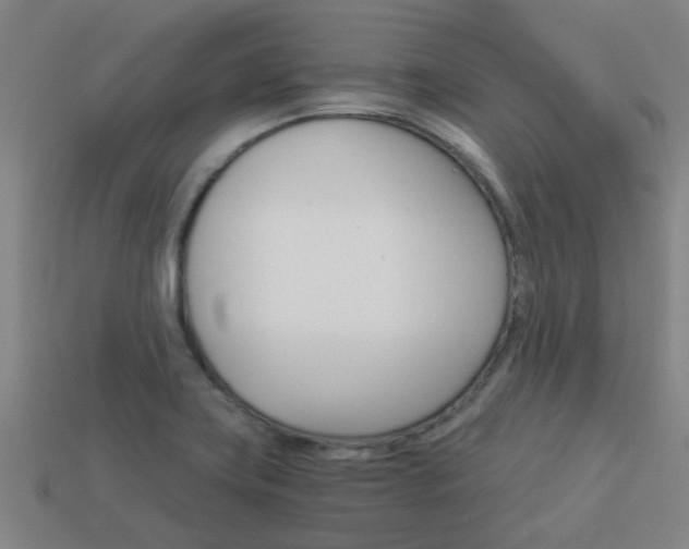 X0000113991419200910021001