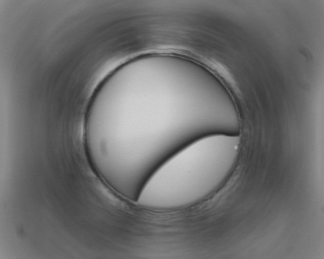 X0000113991420200910021001