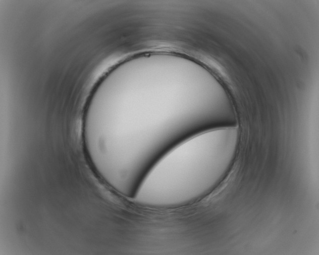 X0000113991424200910021001