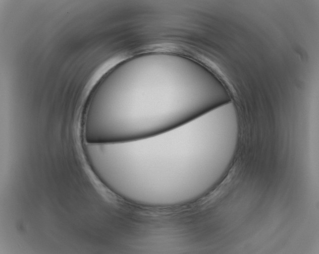 X0000113991426200910021001