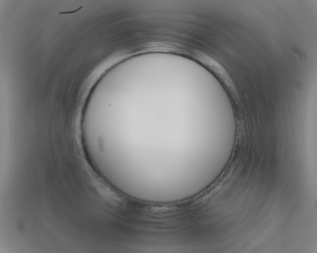 X0000113991427200910021001