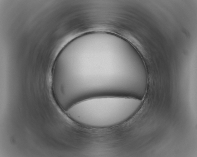 X0000113991428200910021001