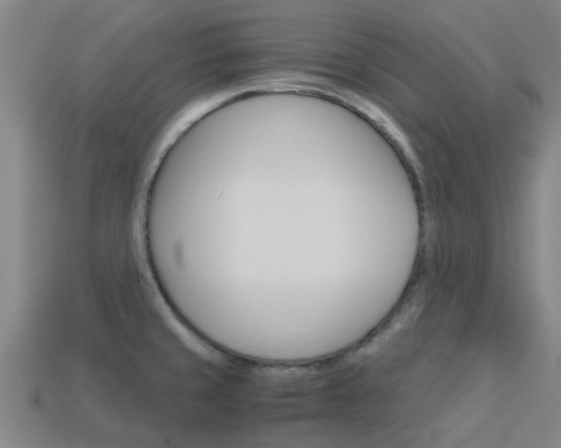 X0000113991429200910021001
