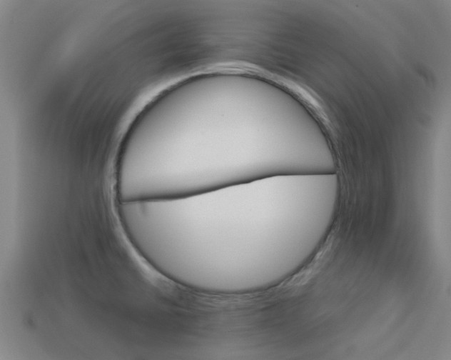 X0000113991430200910021001