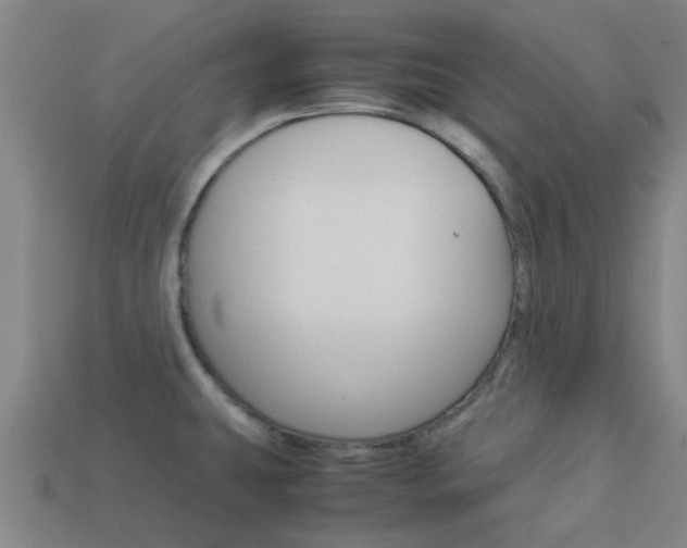 X0000113991431200910021001