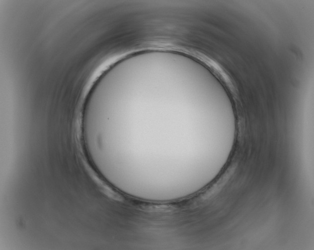X0000113991432200910021001