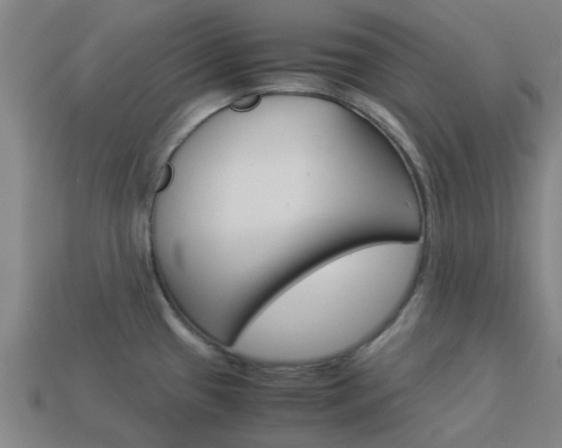 X0000113991433200910021001