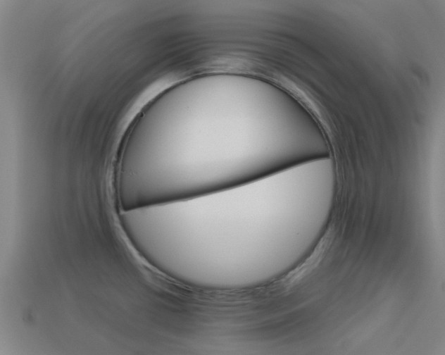 X0000113991434200910021001