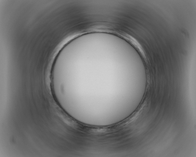 X0000113991435200910021001