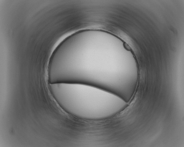 X0000113991436200910021001