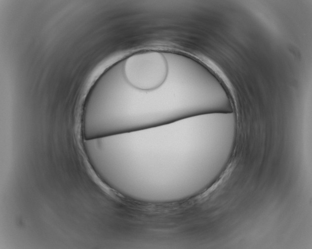 X0000113991437200910021001