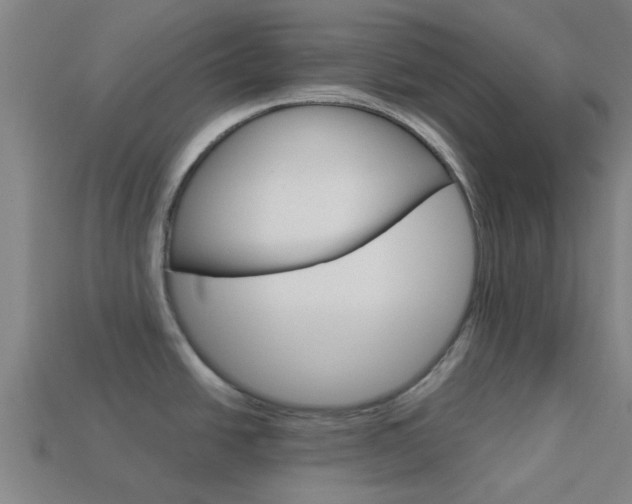 X0000113991438200910021001