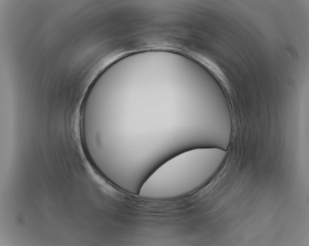 X0000113991439200910021001