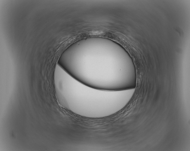 X0000113991441200910021000