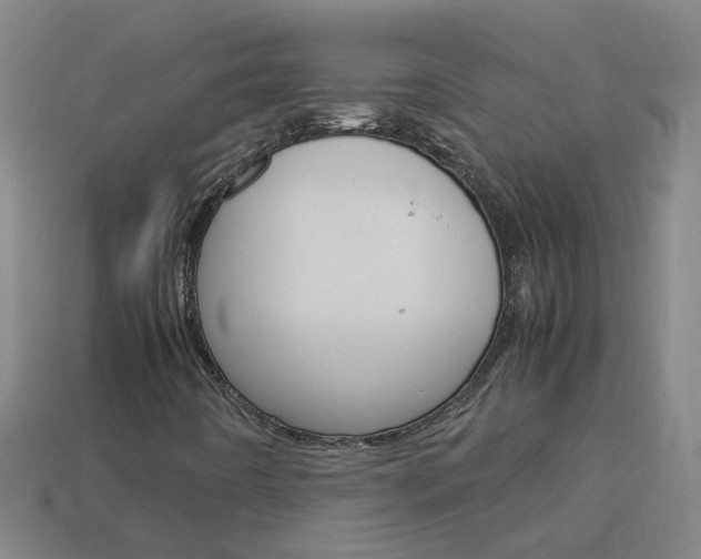 X0000113991442200910021000