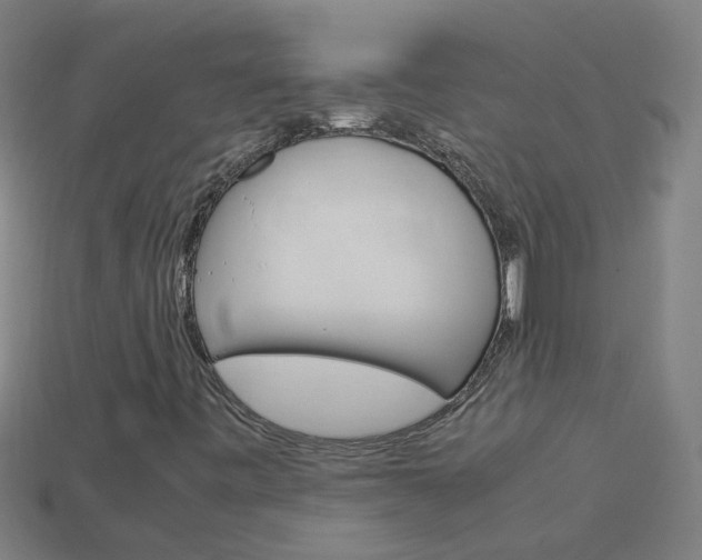 X0000113991443200910021000