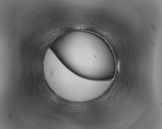 X0000113991444200910021000