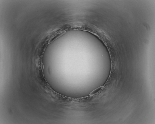 X0000113991445200910021000