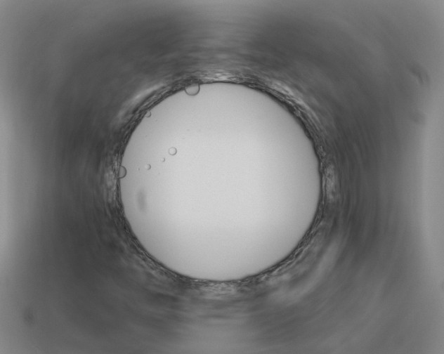 X0000113991446200910021000