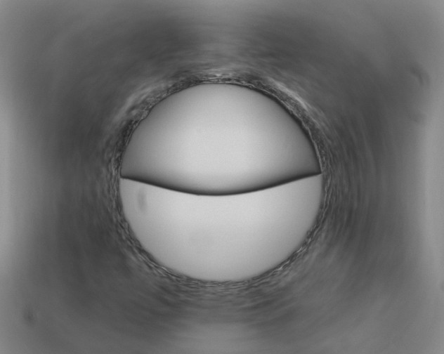 X0000113991447200910021000