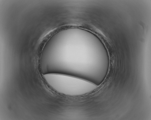 X0000113991448200910021000