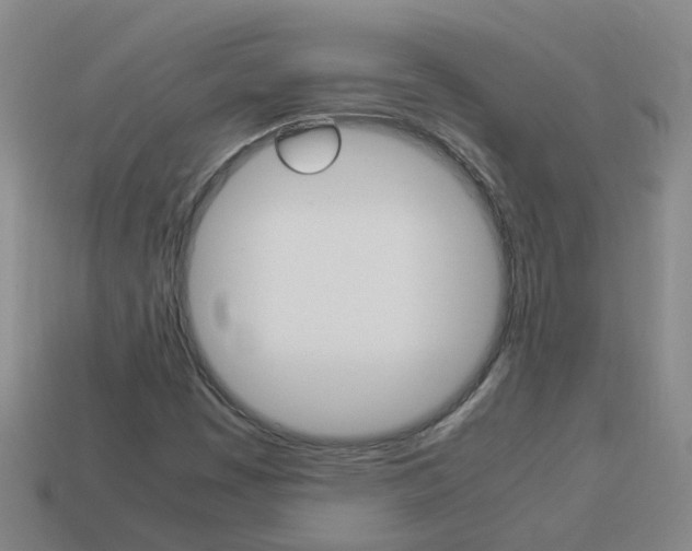 X0000113991449200910021000