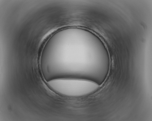 X0000113991452200910021000