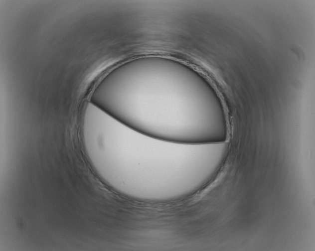 X0000113991453200910021000