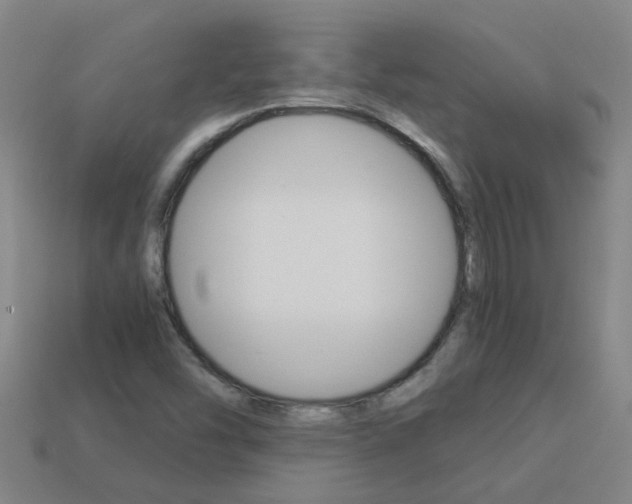 X0000113991454200910021000