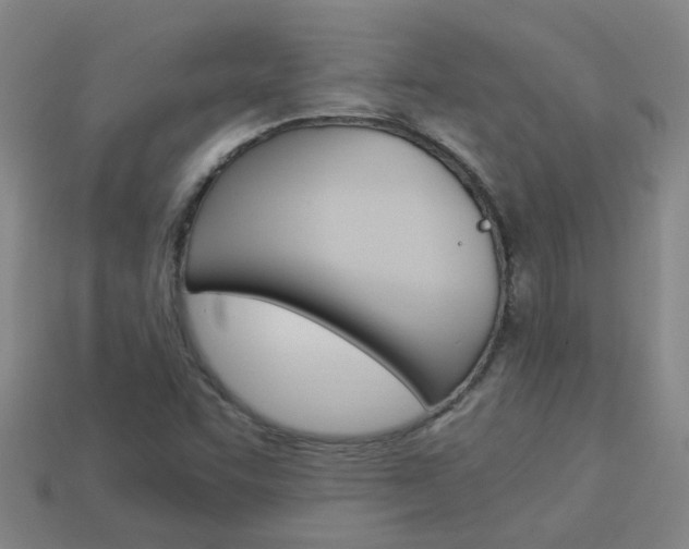 X0000113991455200910021000