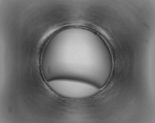 X0000113991456200910021000