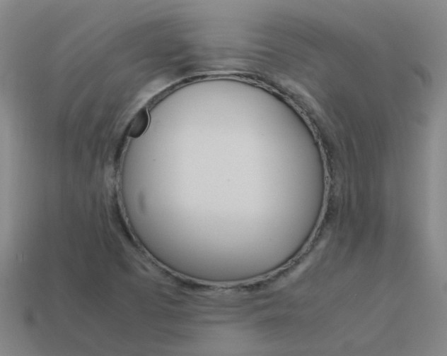 X0000113991457200910021000