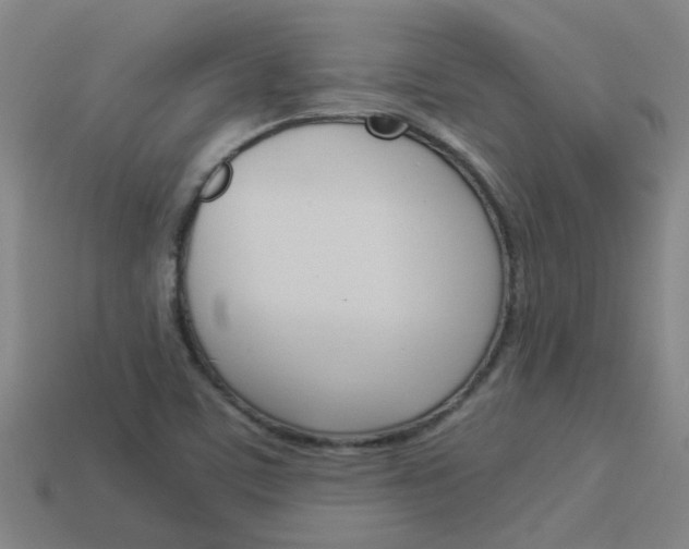 X0000113991459200910021000