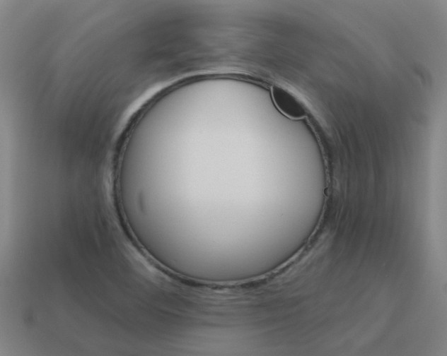 X0000113991460200910021000