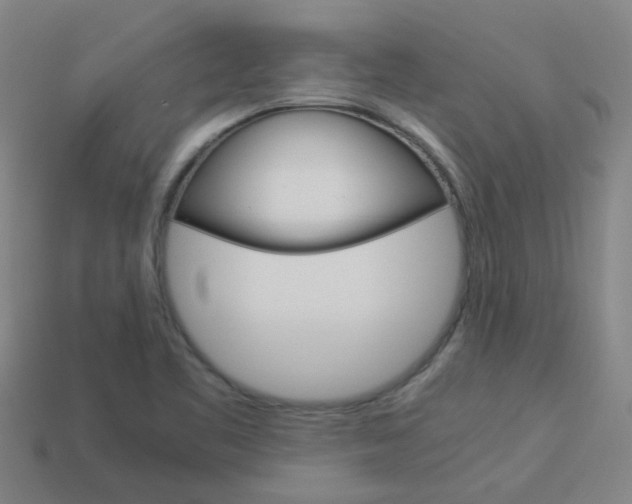 X0000113991461200910021000