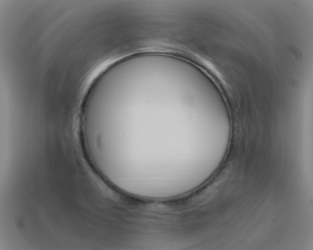 X0000113991463200910021000