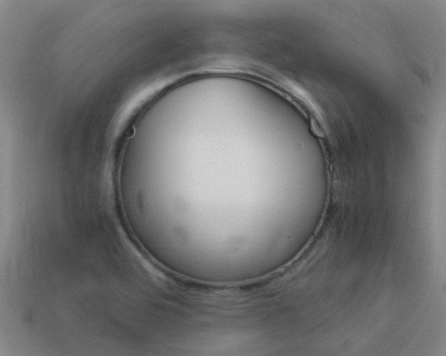 X0000113991464200910021000
