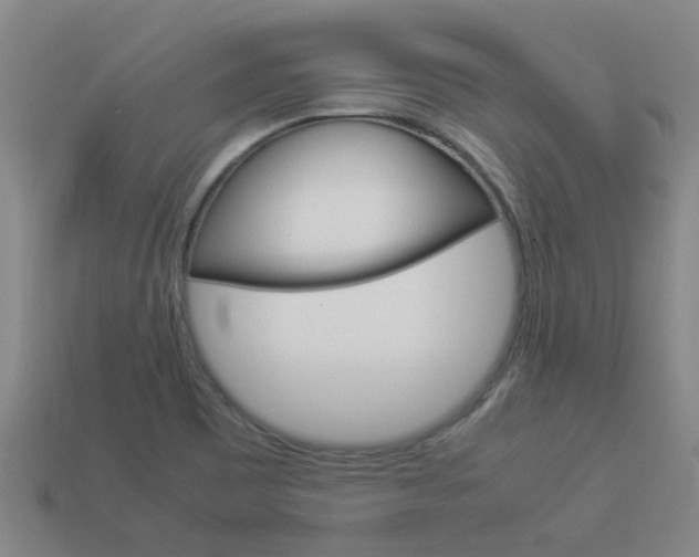 X0000113991465200910021000