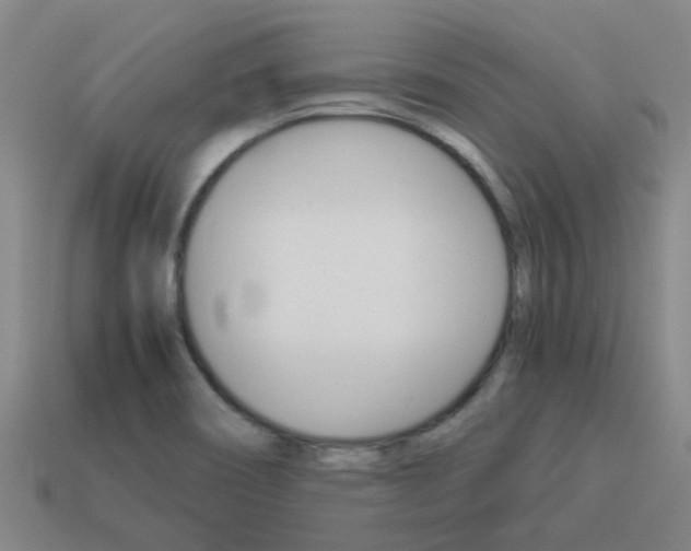X0000113991466200910021000