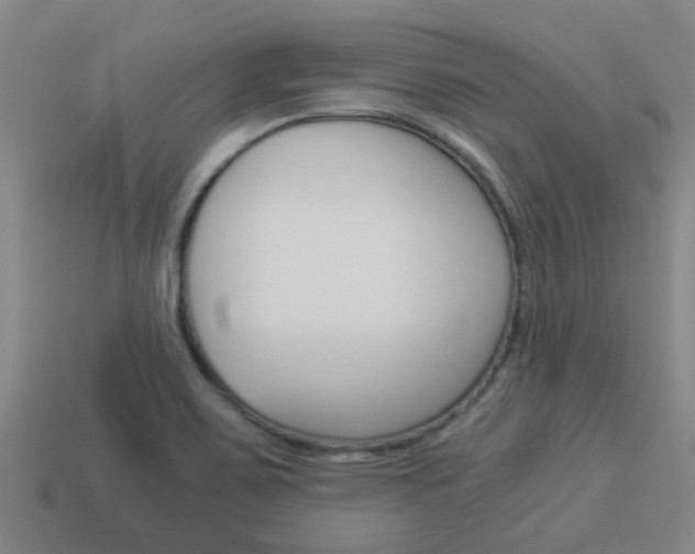 X0000113991467200910021000