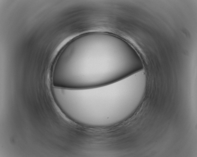 X0000113991468200910021000