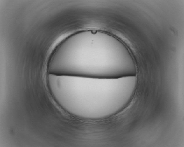 X0000113991469200910021000